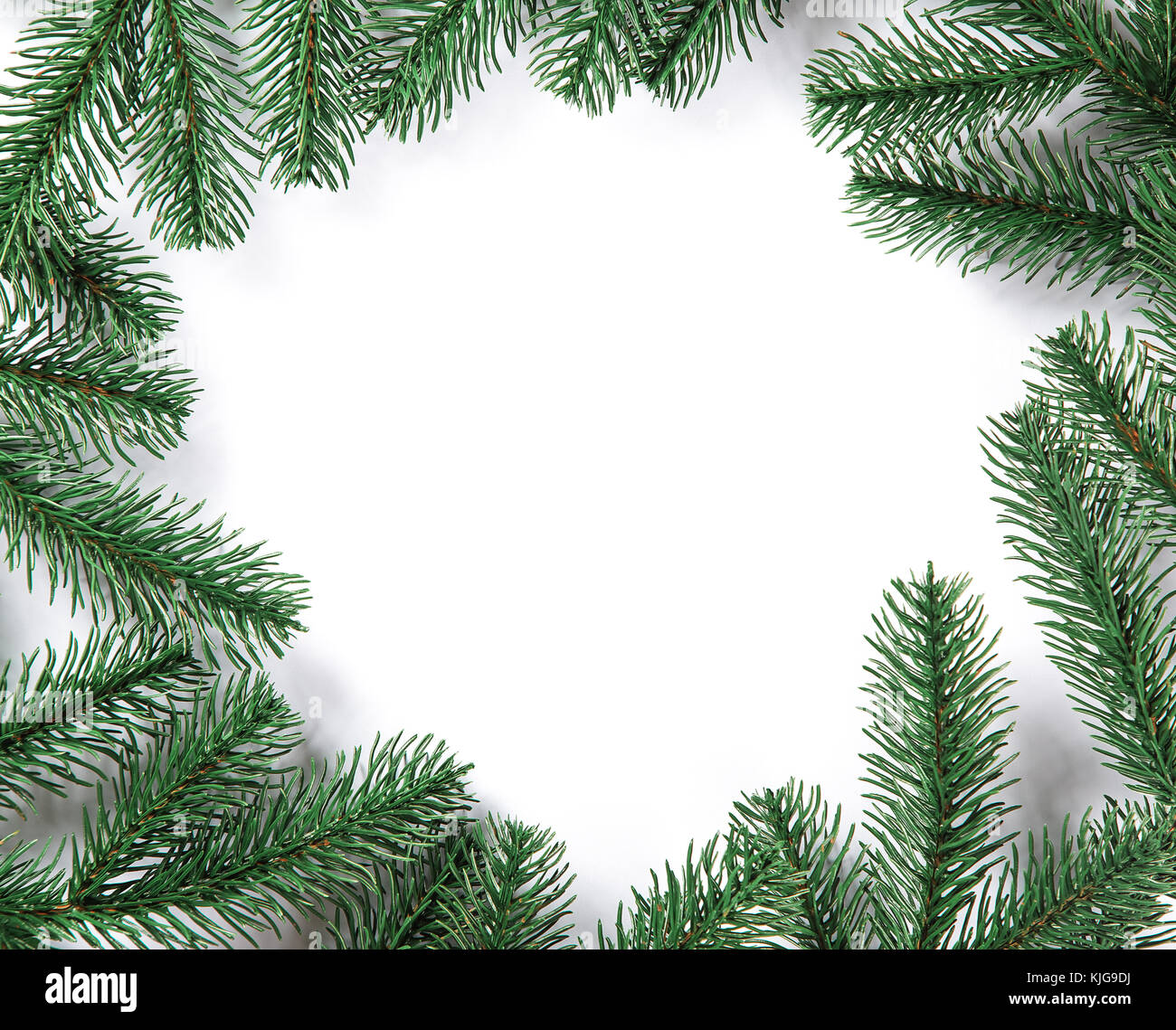 Christmas fir tree frame on white background. Free space Stock Photo ...