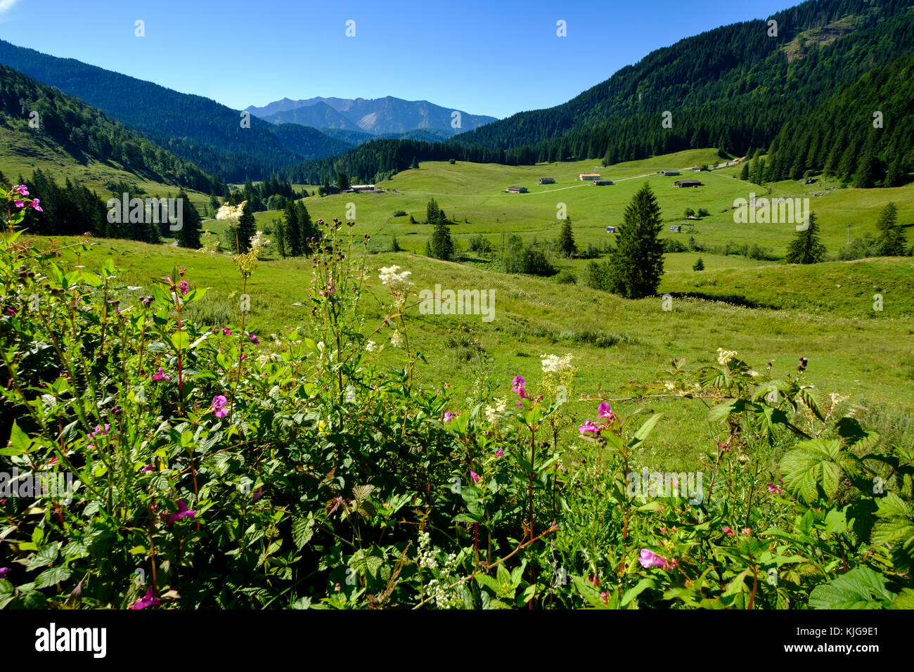 Valeppalmboden mit der Albert Link Hütte, Spitzingseegebiet, Oberbayern Bayern Deutschland Stock Photo