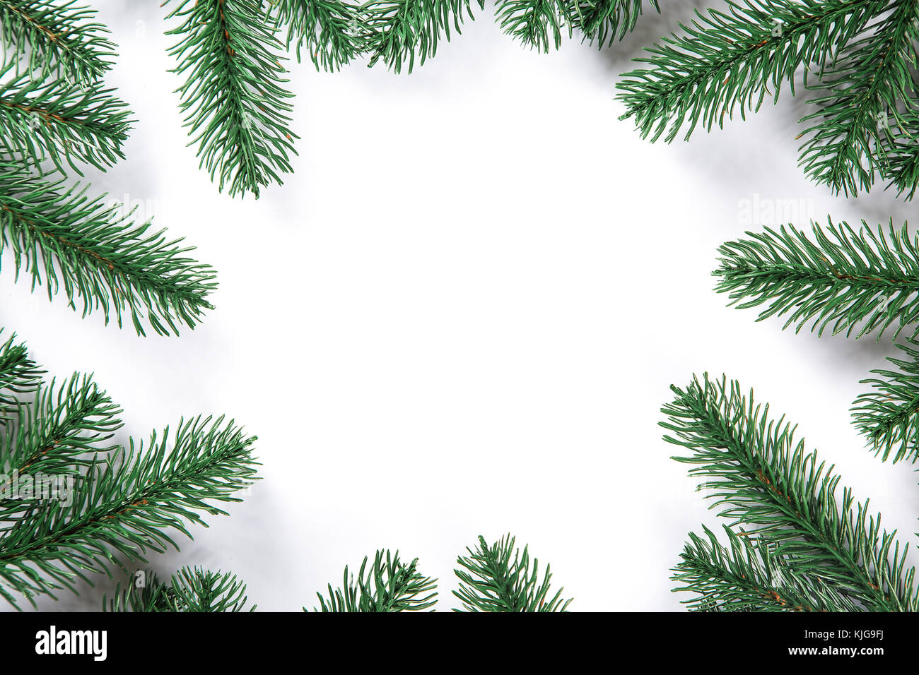 Christmas fir tree frame on white background. Free space Stock Photo ...
