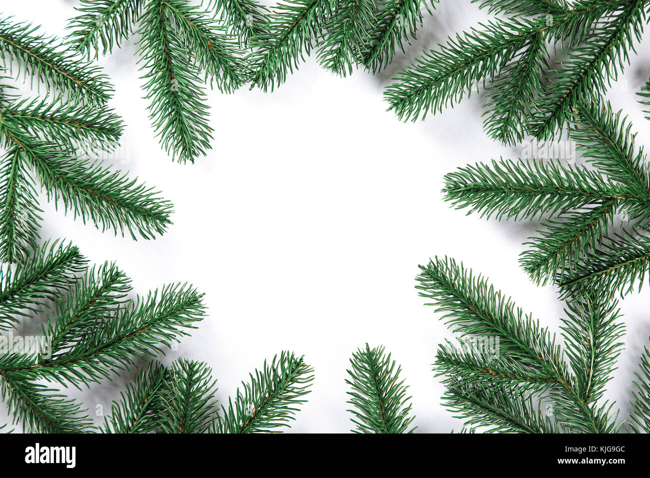 Christmas fir tree frame on white background. Free space Stock Photo ...