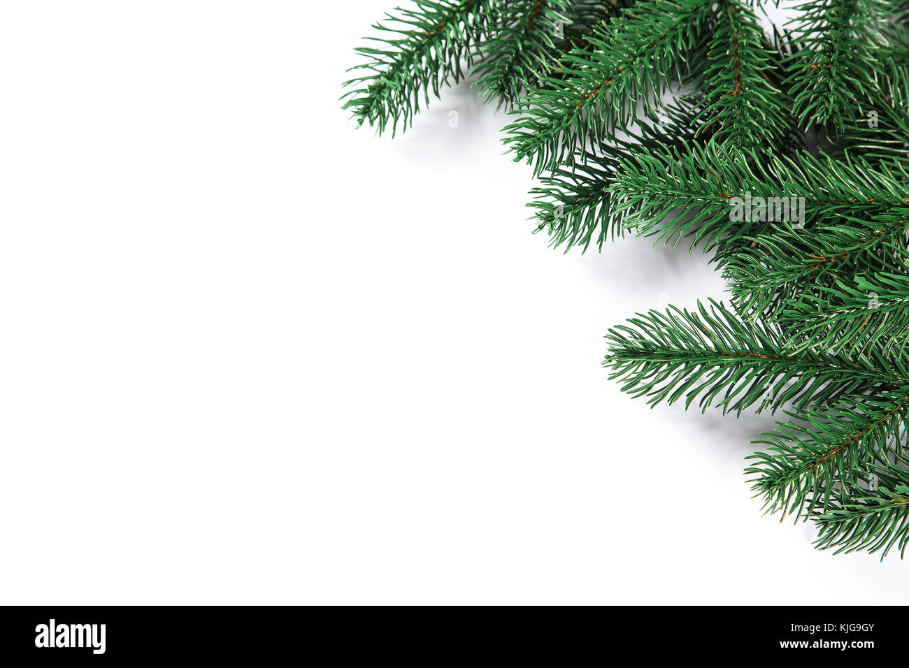 Christmas fir tree frame on white background. Free space Stock Photo ...