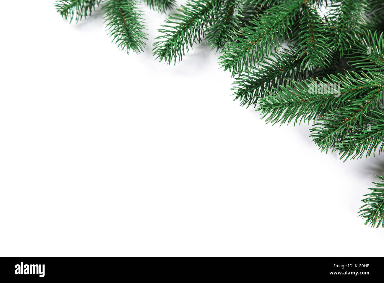Christmas fir tree frame on white background. Free space Stock Photo ...