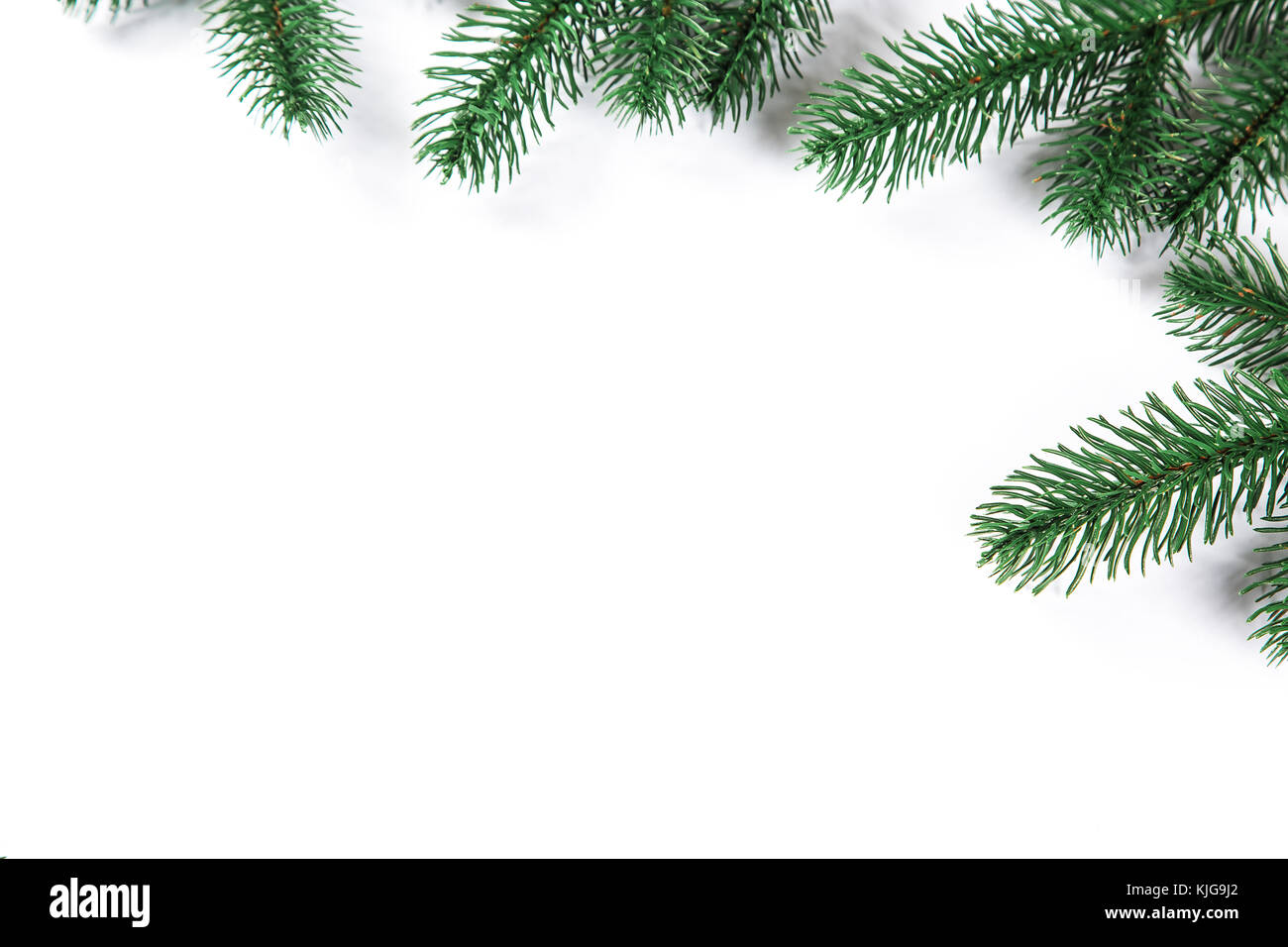 Christmas fir tree frame on white background. Free space Stock Photo ...