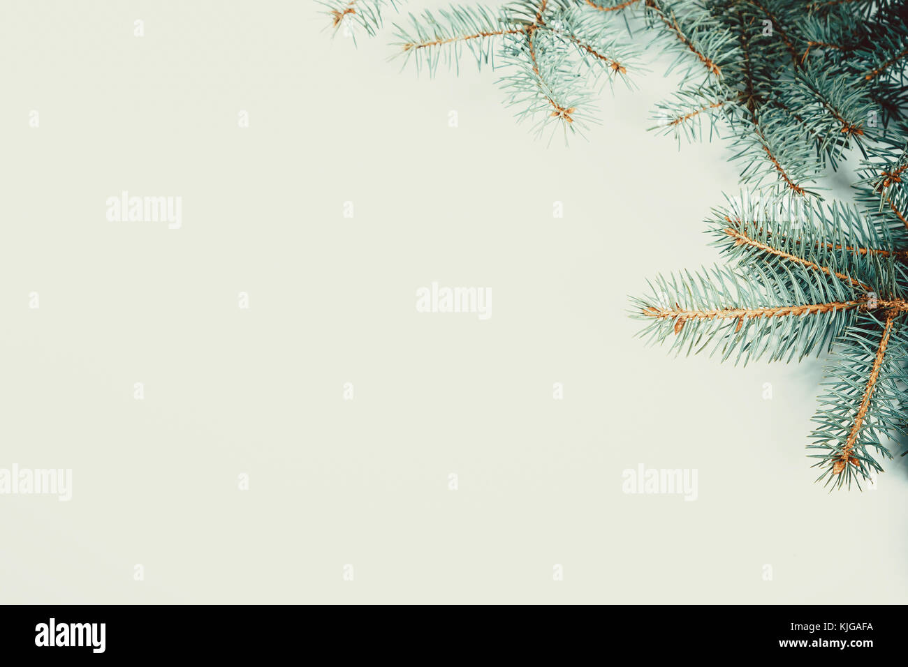 Christmas fir tree frame on white background. Free space Stock Photo ...