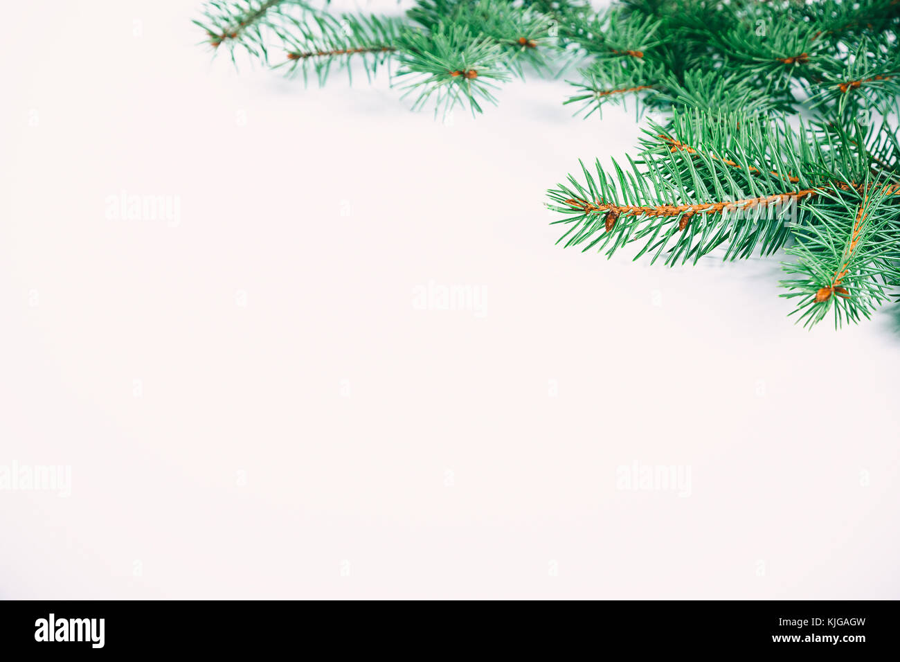Christmas fir tree frame on white background. Free space Stock Photo ...
