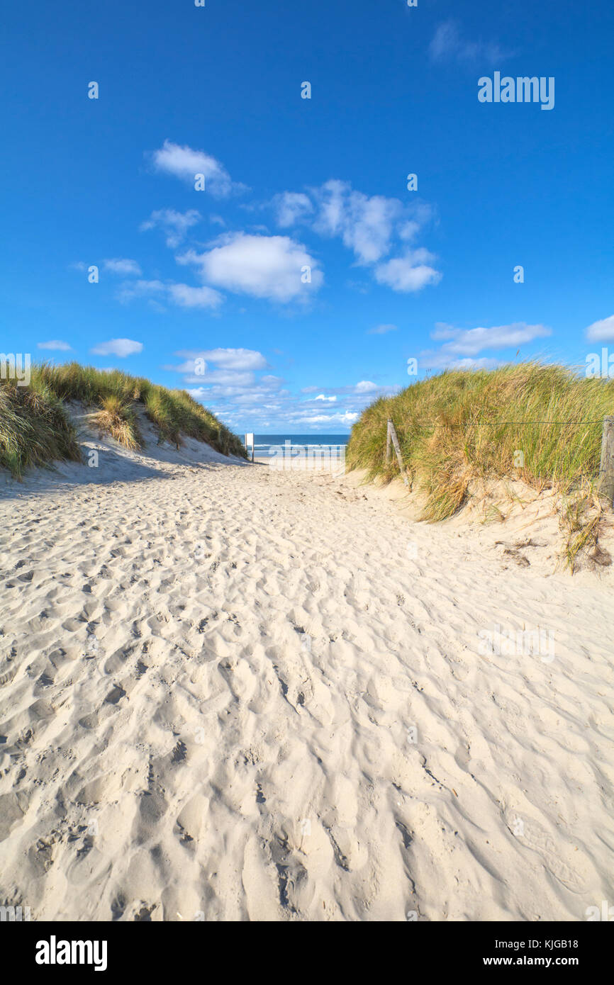 Germany, Lower Saxony, East Frisian Island, Juist, dune and beach landscape Stock Photo