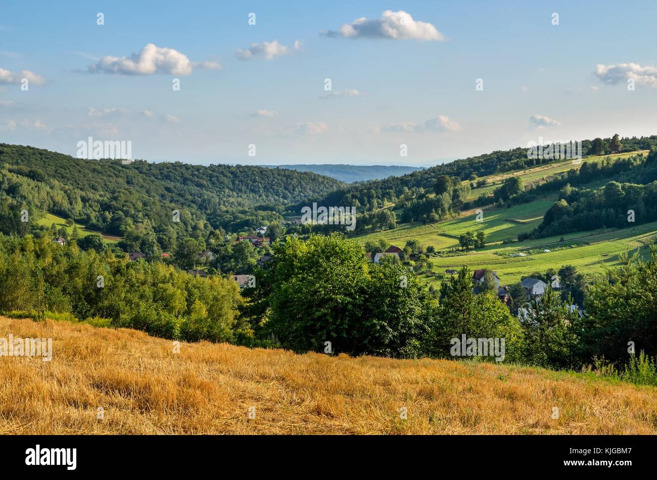 Rural summer landscape. A village in a beautiful Jurassic valley in Poland. Stock Photo
