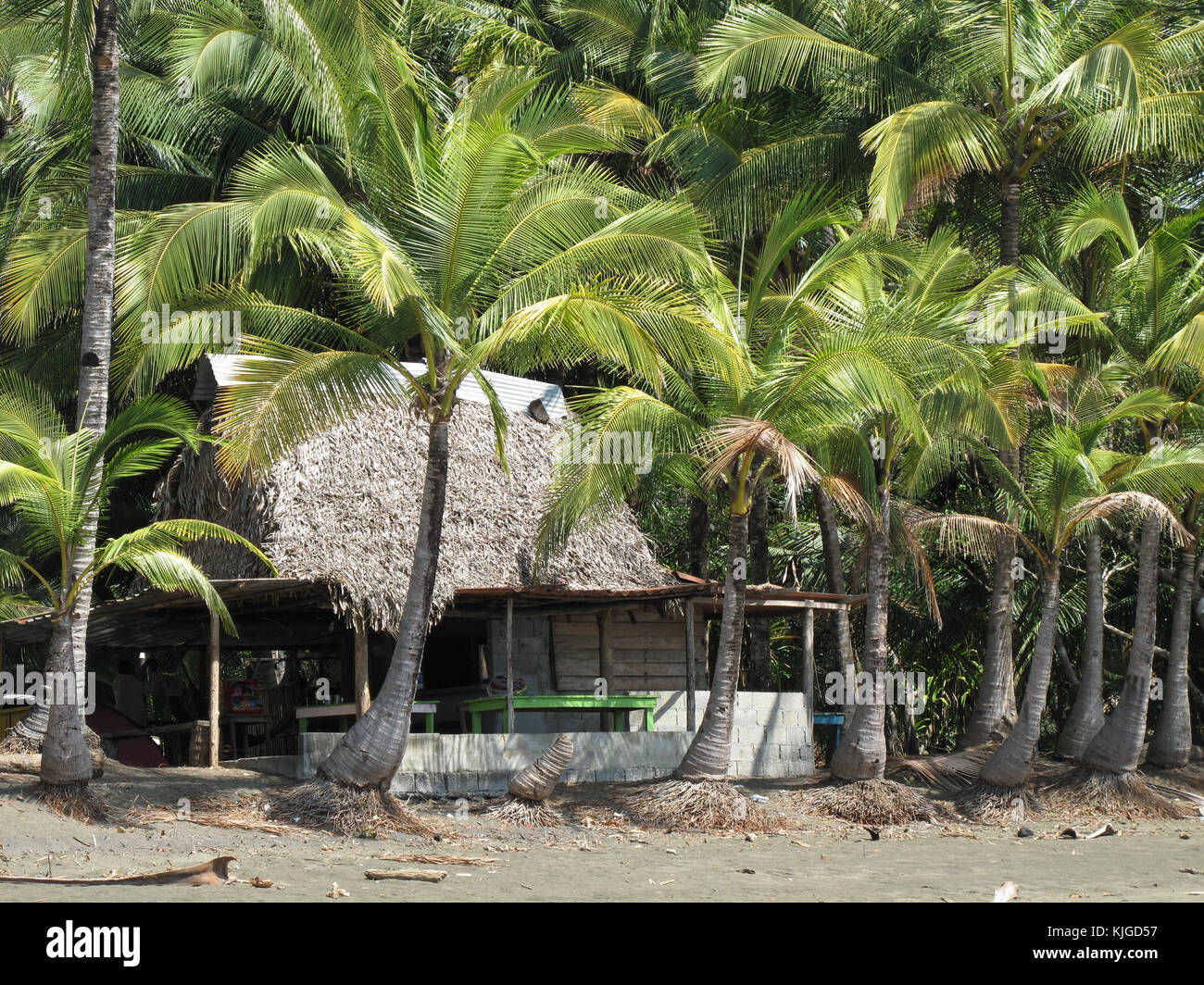 resort by the beach in beautiful coast in Panama / Santa Teresa Stock Photo