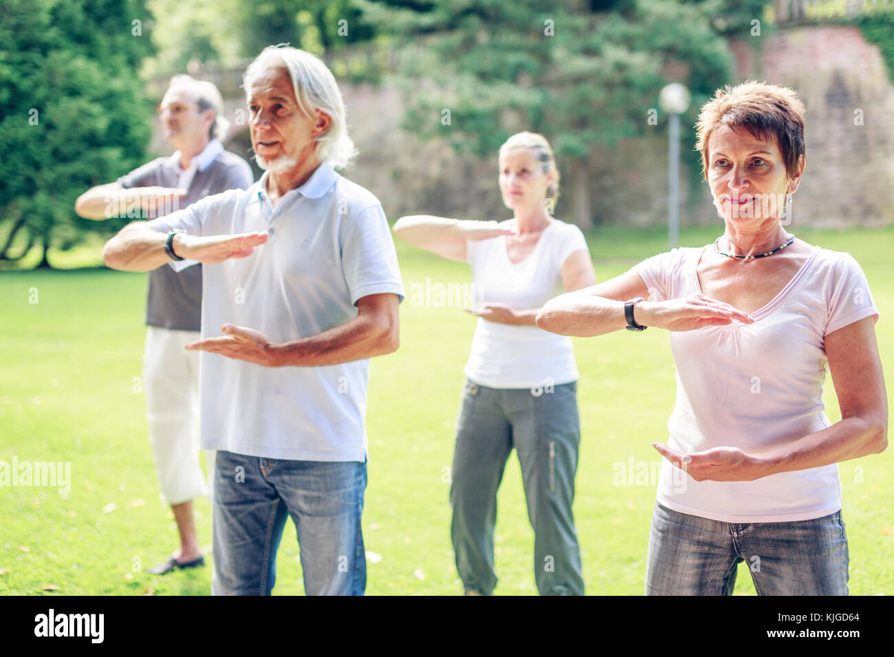 Group of seniors doing Tai chi in a park Stock Photo - Alamy