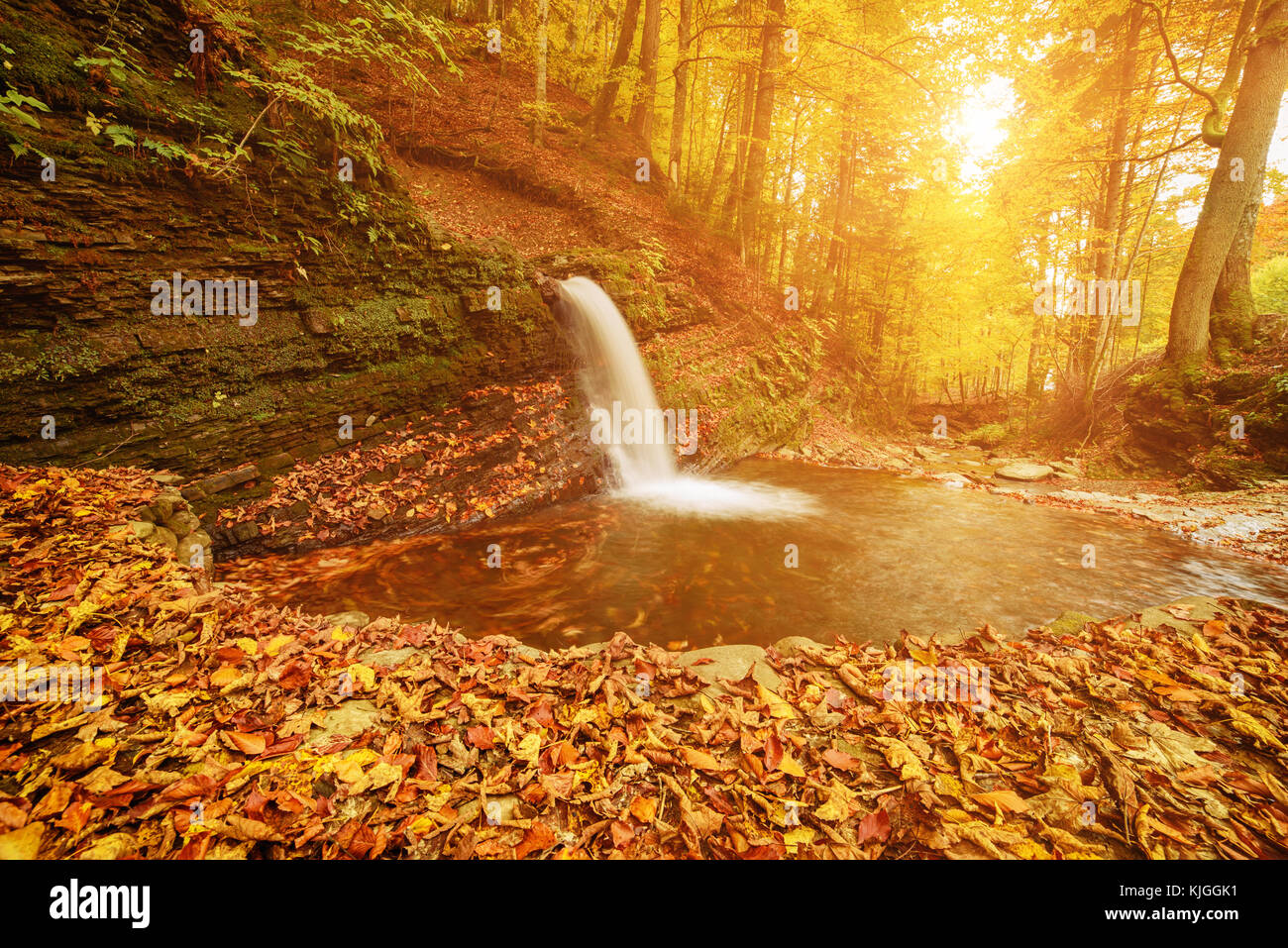 Autumn mountain waterfall Stock Photo - Alamy
