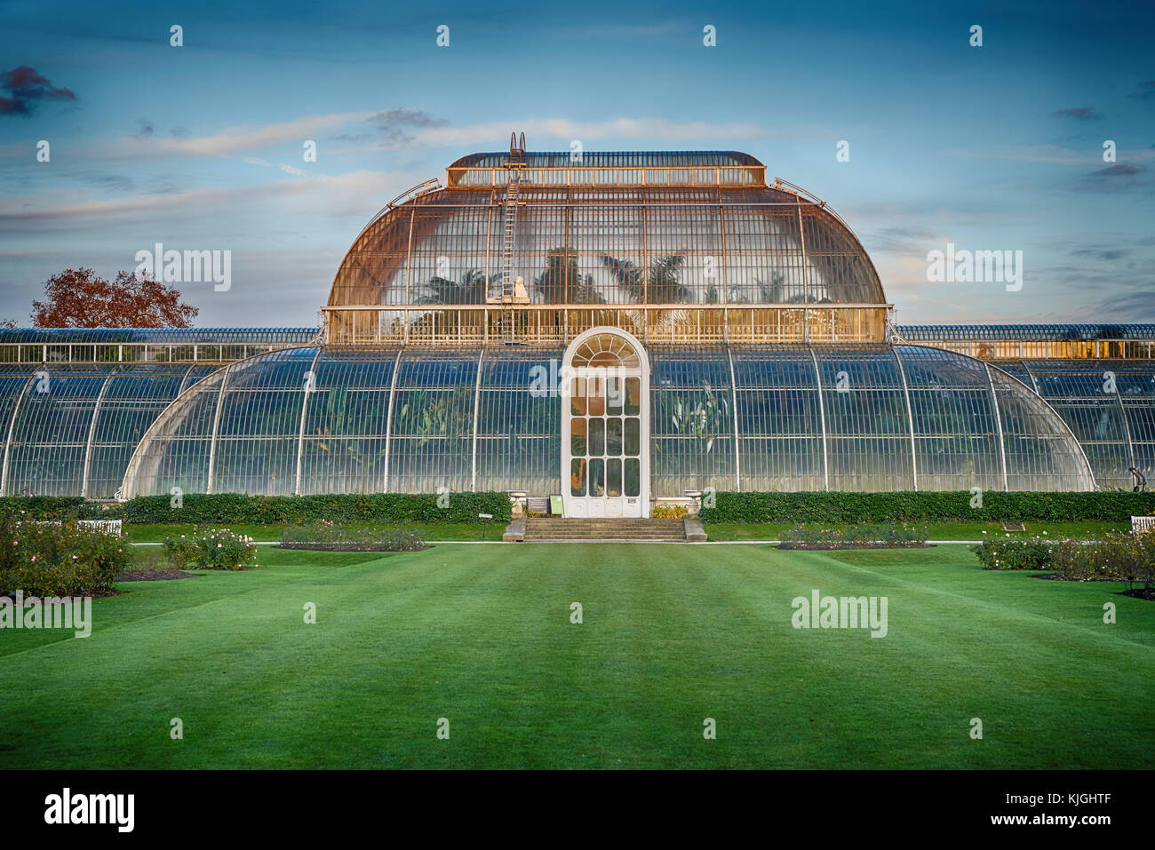 The Palm House, Kew Gardens glasshouse Stock Photo Alamy