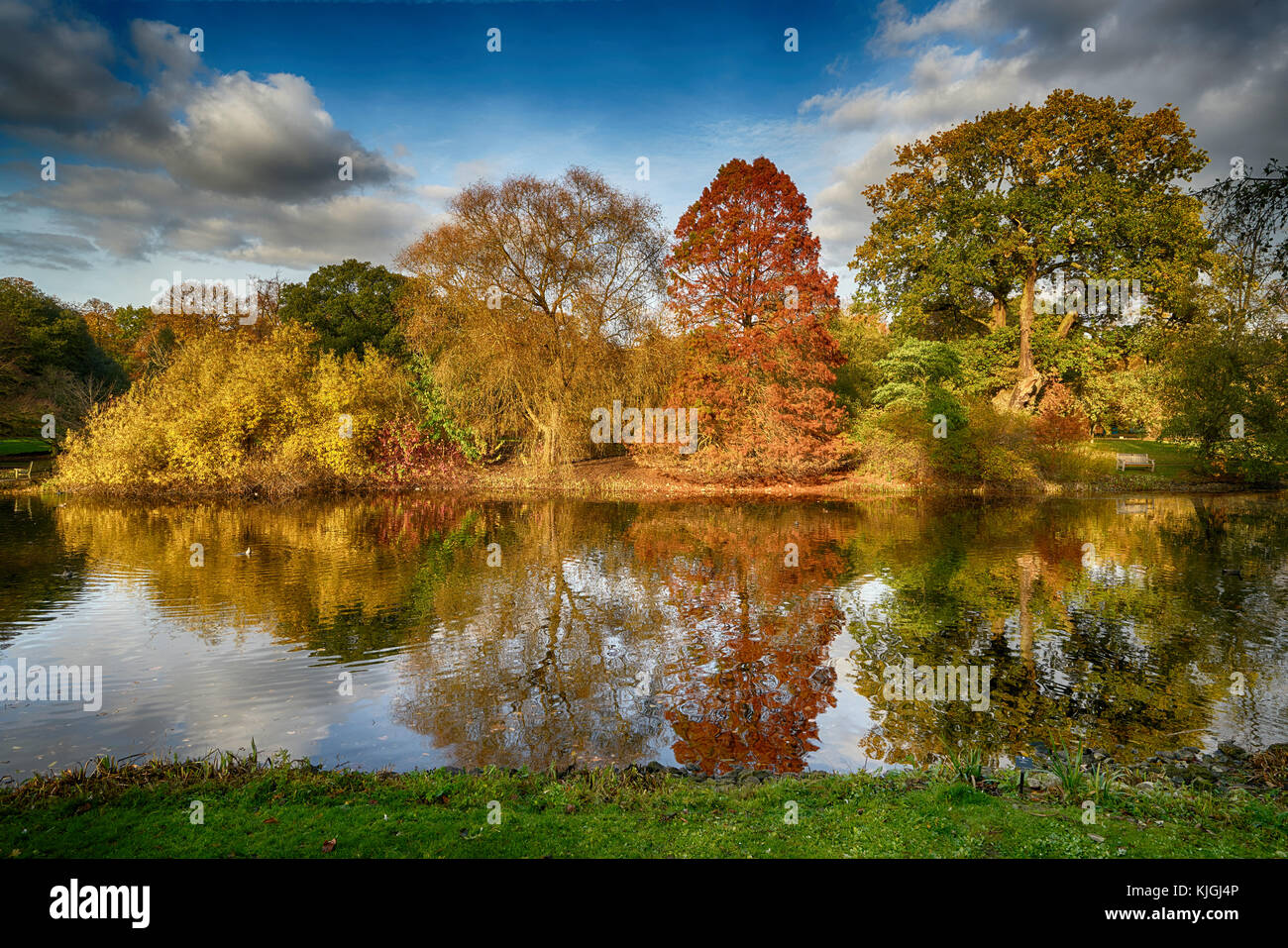 autumn colour kew botanical gardens Stock Photo Alamy