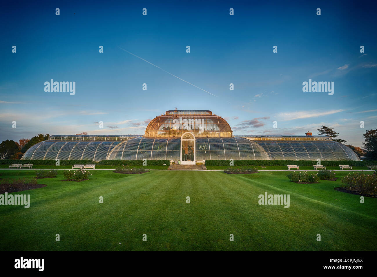 The Palm House,  Kew Gardens  glasshouse Stock Photo