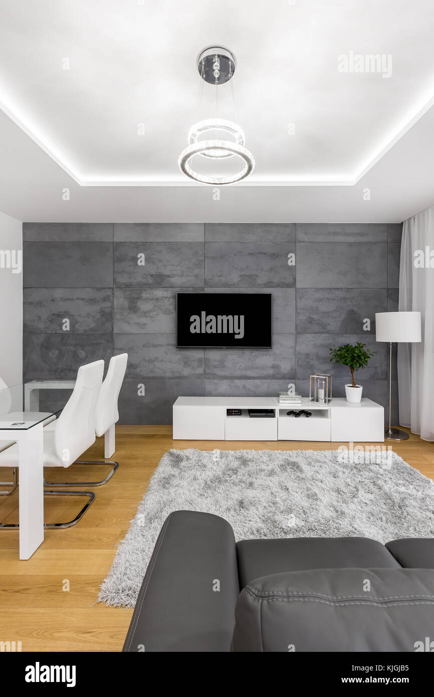 Tv Screen Hanging On Concrete Wall In Contemporary Sitting