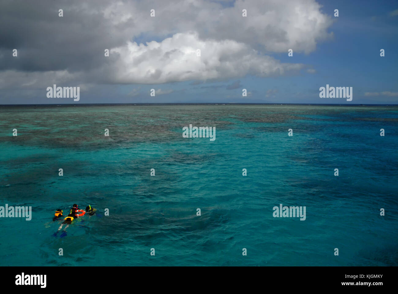 Snorkelers at the Great Barrier Reef, Australia Stock Photo Alamy