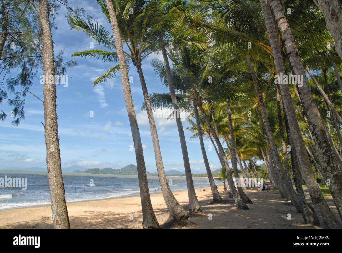 Palm Cove Australia High Resolution Stock Photography and Images - Alamy