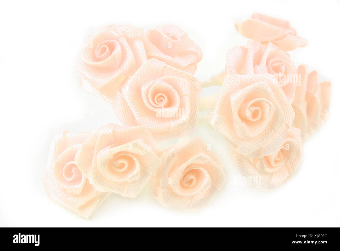 creamy roses flower bouquet background Stock Photo