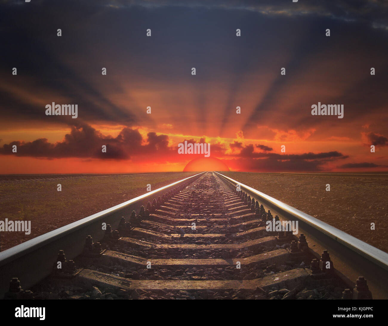 【新品未開封】the HIATUS Sunset on the Rails Sunset on the Rails 2024.08.18 - Album by the HIATUS | Spotify