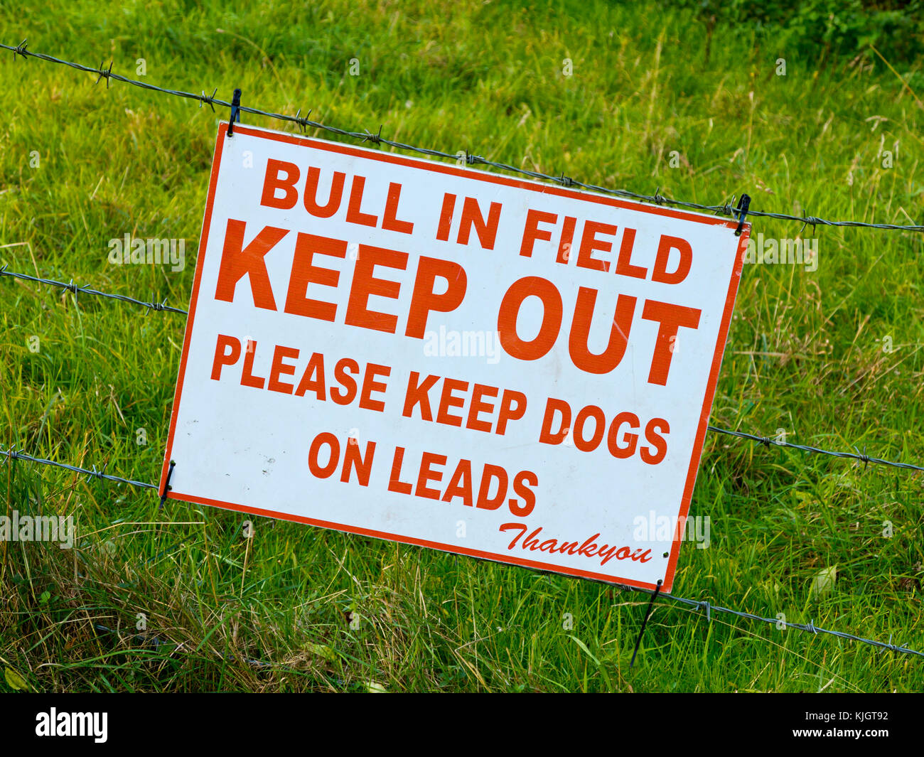 Bull in Field Keep Out Please Keep Dogs on Leads warning sign on a farm