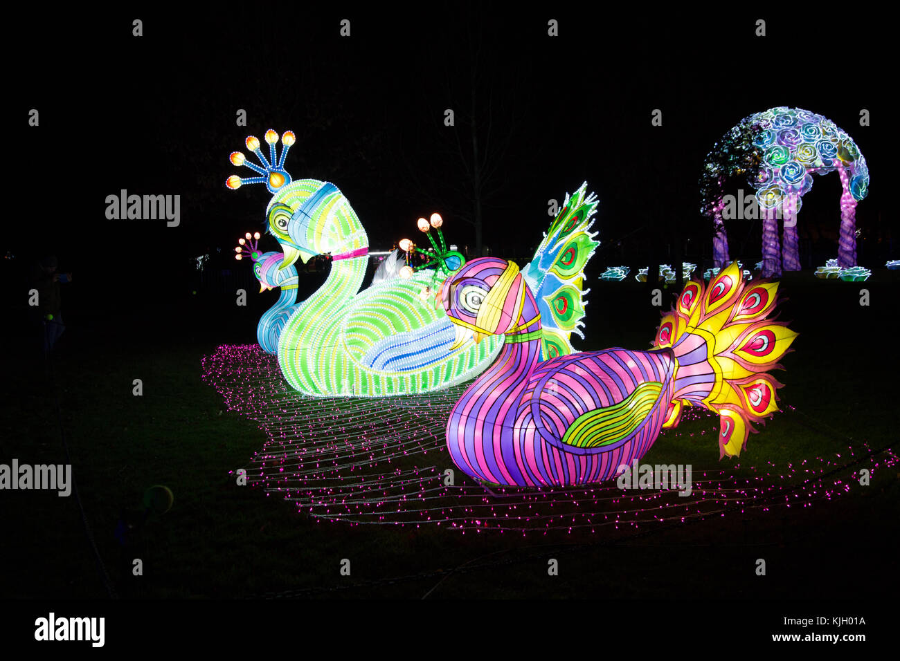 Birmingham magical lantern festival hires stock photography and images Alamy