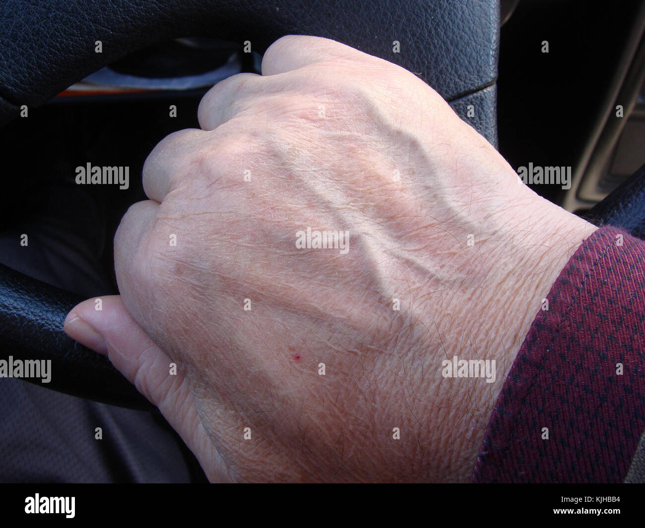 Old people hand with dry skin and dilated enlarged veins on steering