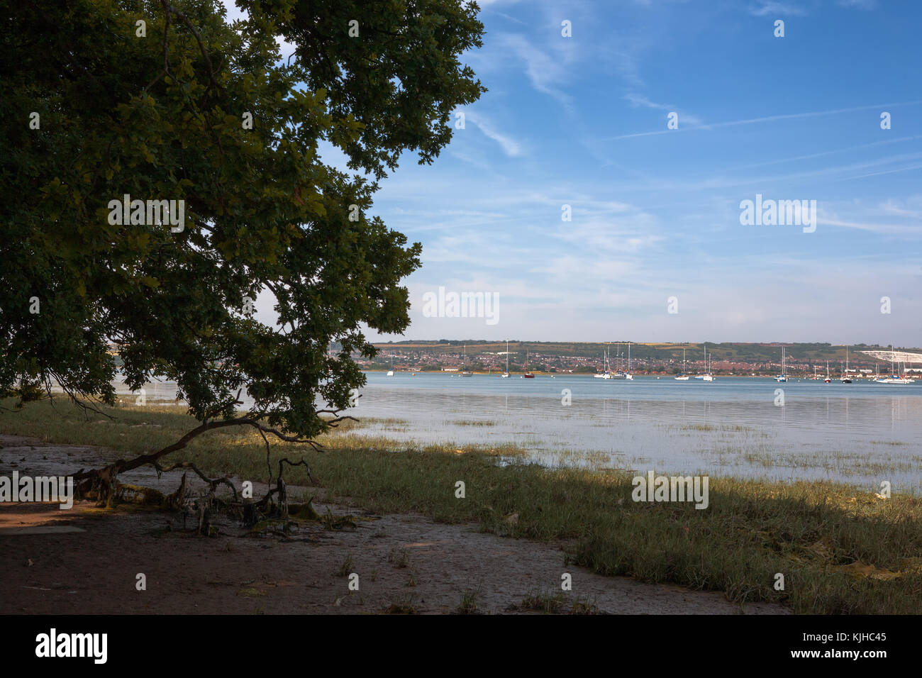 Fareham Lake in the upper reaches of Portsmouth Harbour, from Monk's Walk, Gosport, Hampshire, England, UK Stock Photo