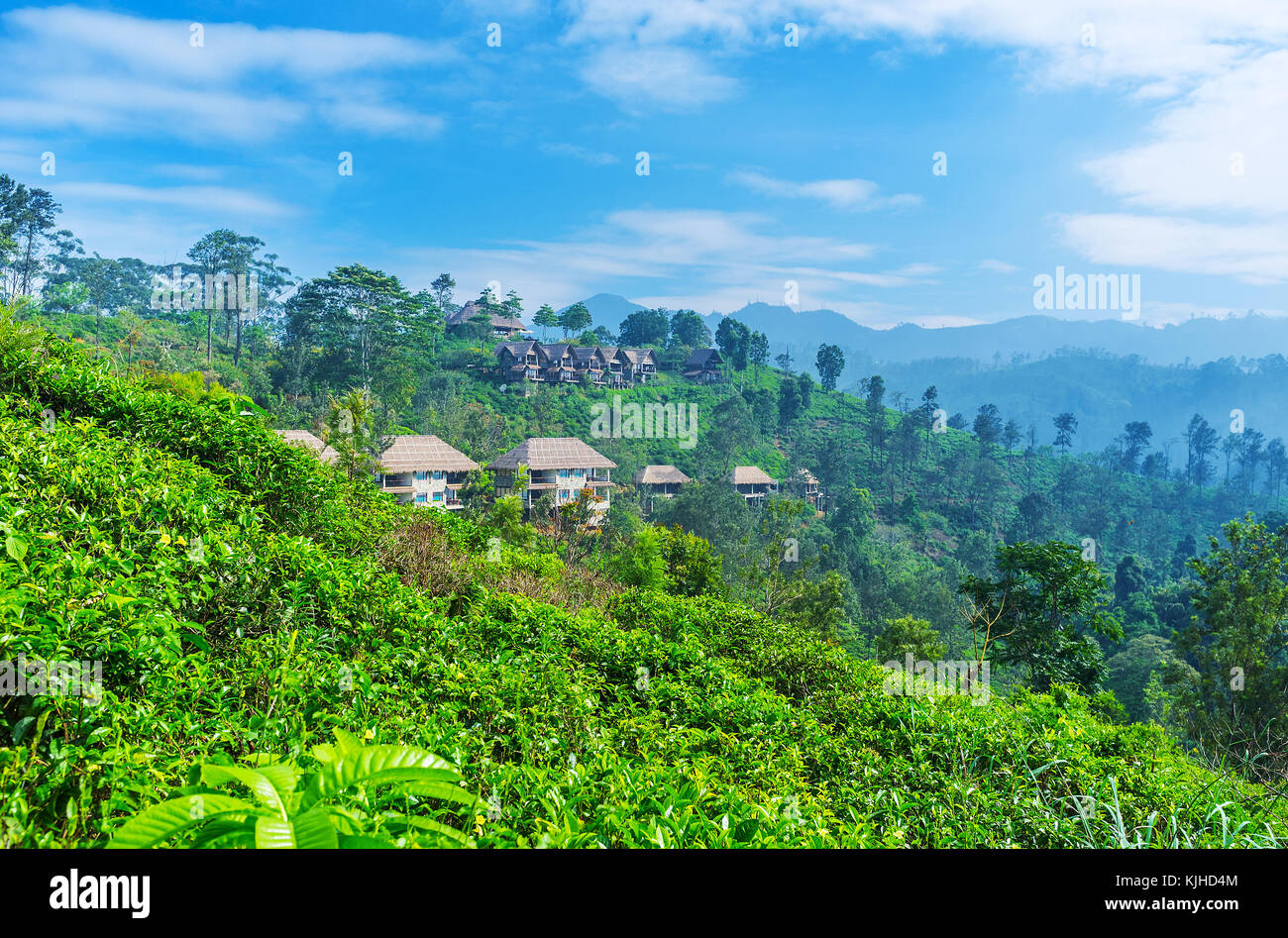 Ella mountain resort is the perfect choice to relax, enjoy the