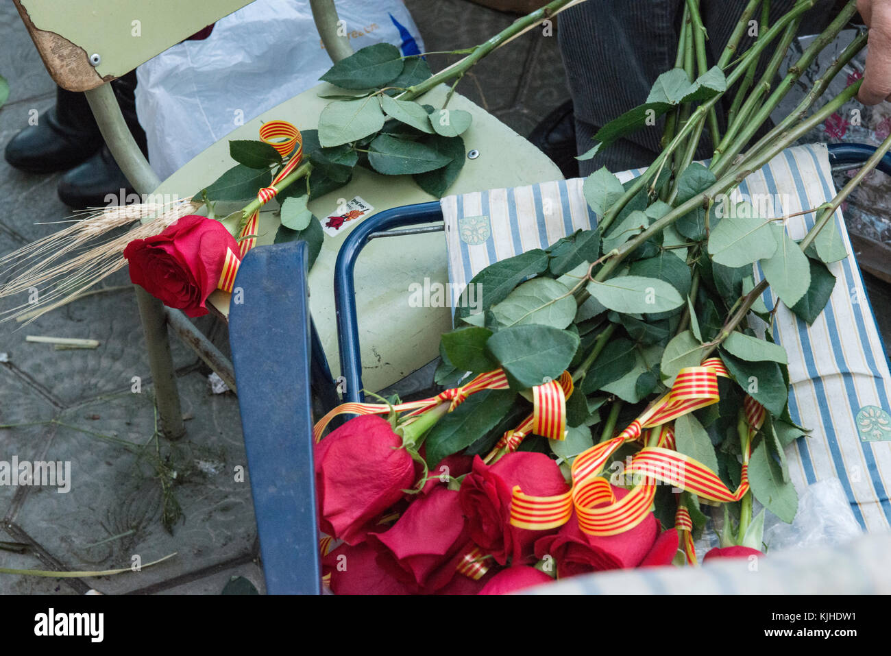 A bunch of red roses with Catalan flag ribbons rest on the chair of a ...
