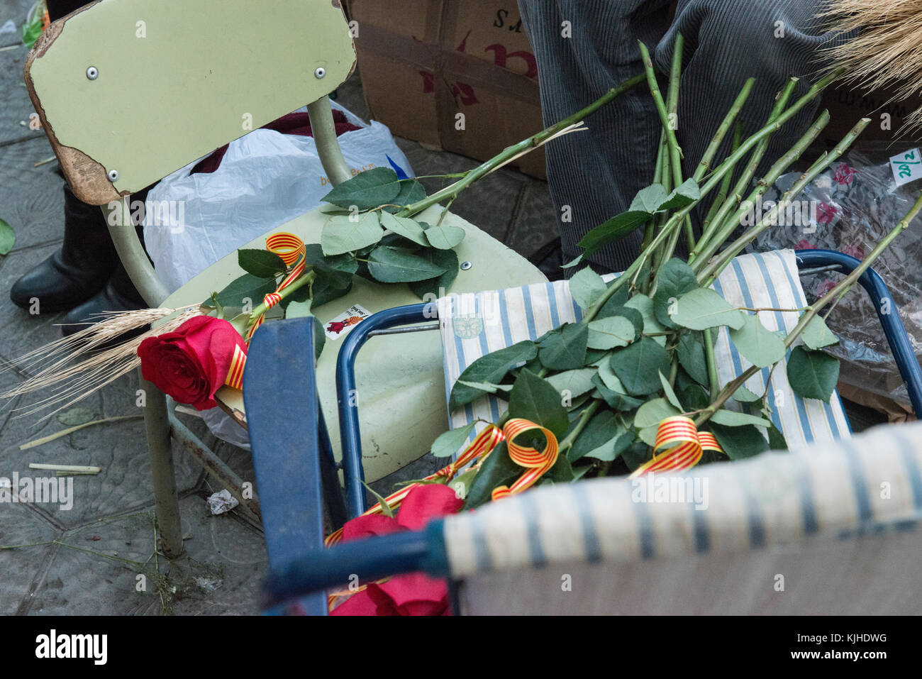 A bunch of red roses with Catalan flag ribbons rest on the chair of a ...