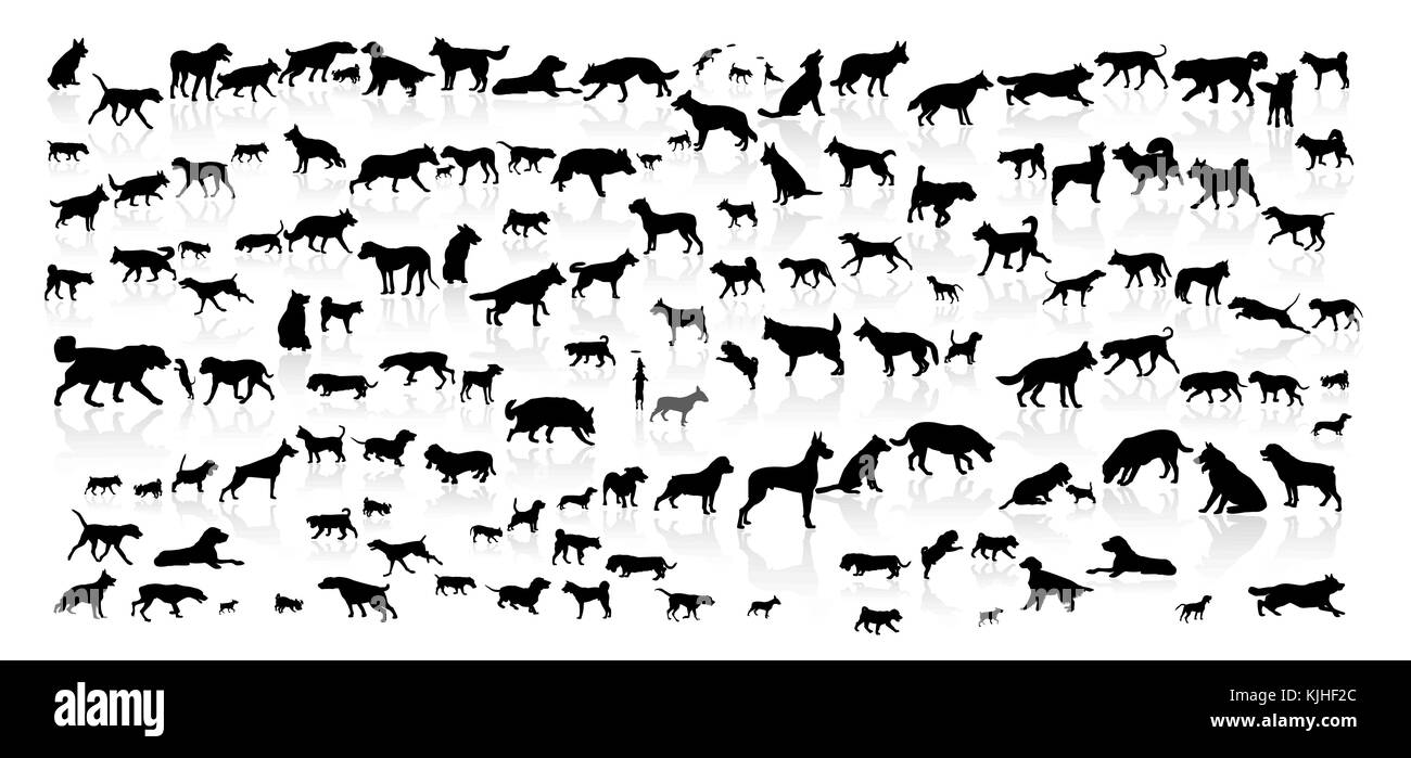 Dogs of different breeds. Silhouettes of dogs on a white background. Collection of dogs of various breeds. Stock Vector