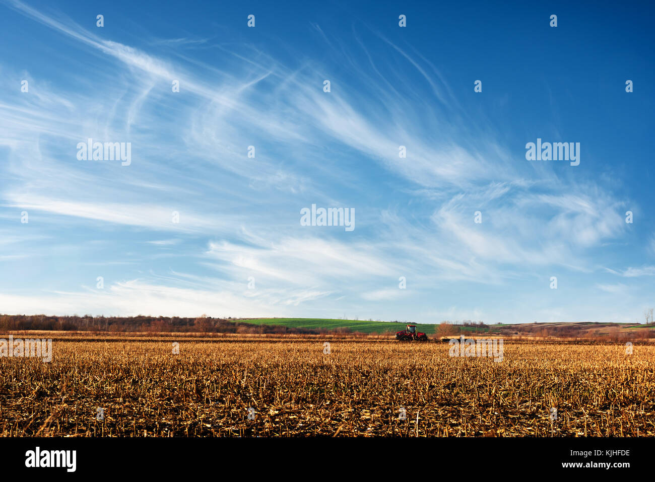 Amazing rural scene on autumn corn field Stock Photo