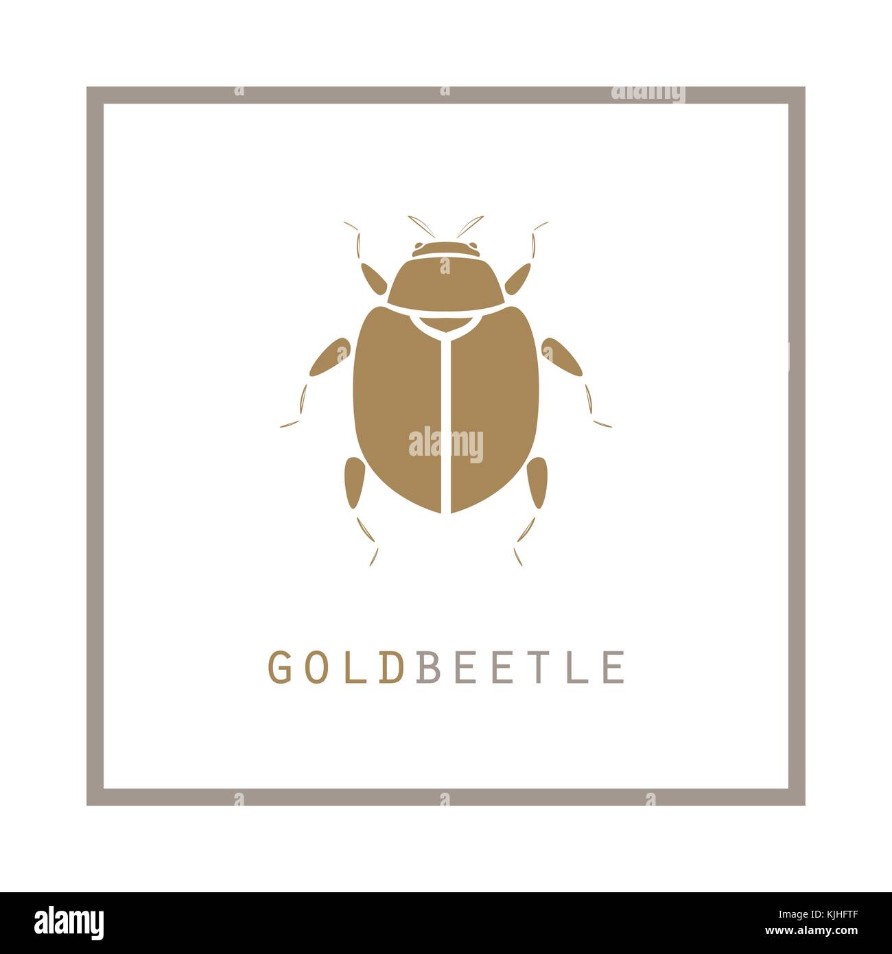 Gold beetle in a frame vector illustration emblem. Stock Vector