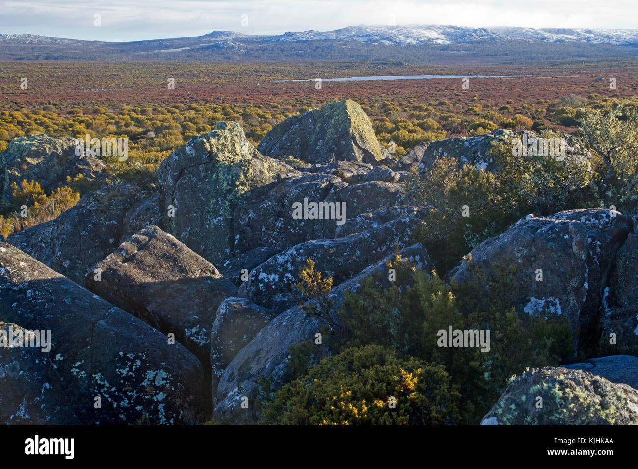 View across Wild Dog Plain to the Wild Dog Tiers on Tasmania's Central Plateau Stock Photo