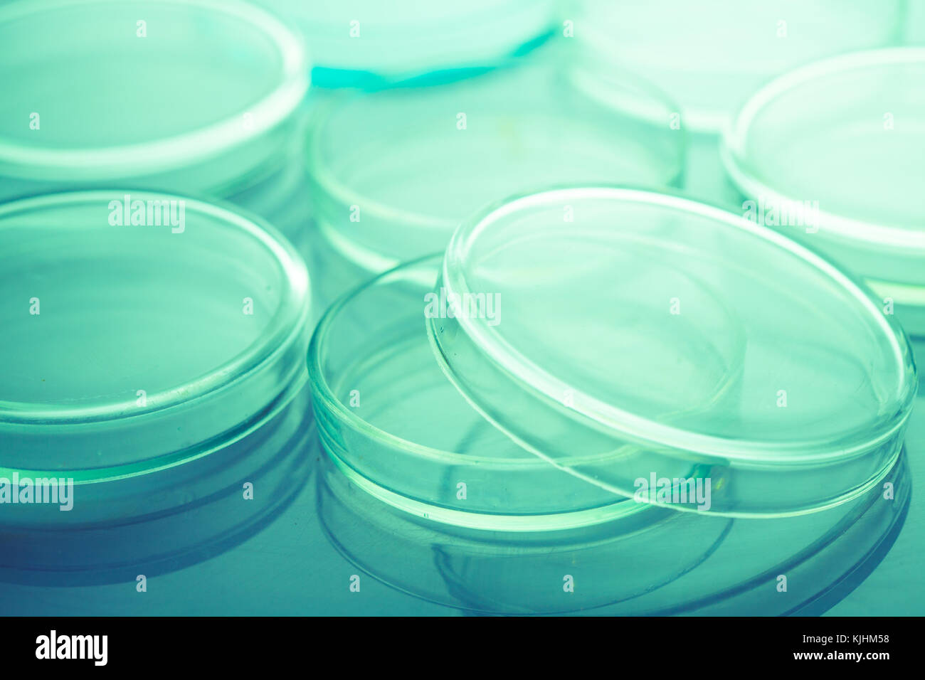 Petri dishes in laboratory blue light close up Stock Photo Alamy