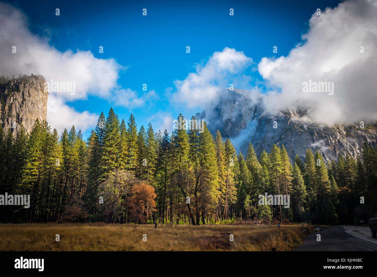 Landscape of Yosemite National Park, California Stock Photo