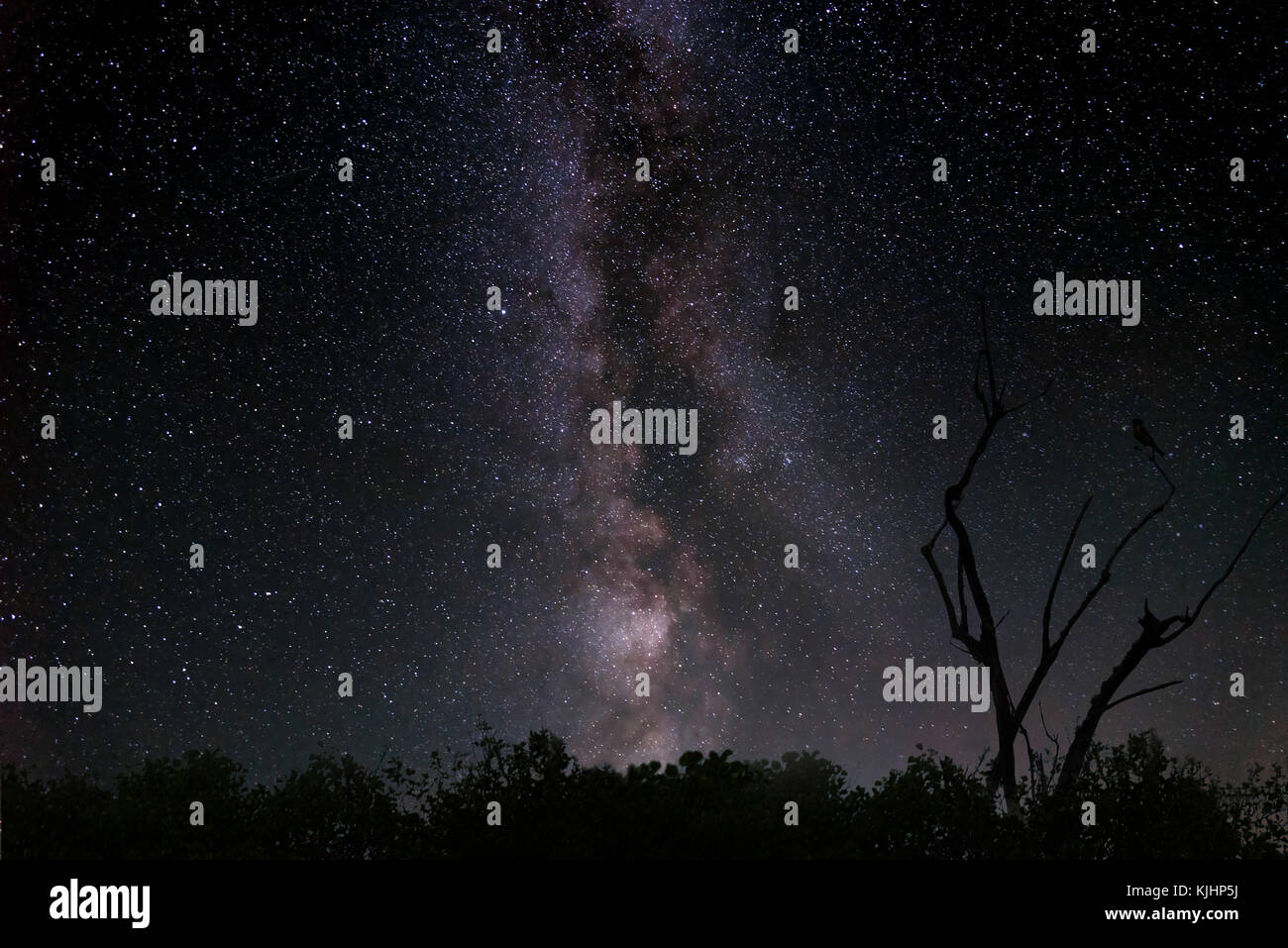 Beautiful panorama of the night sky with the Milky Way galaxy, stars ...