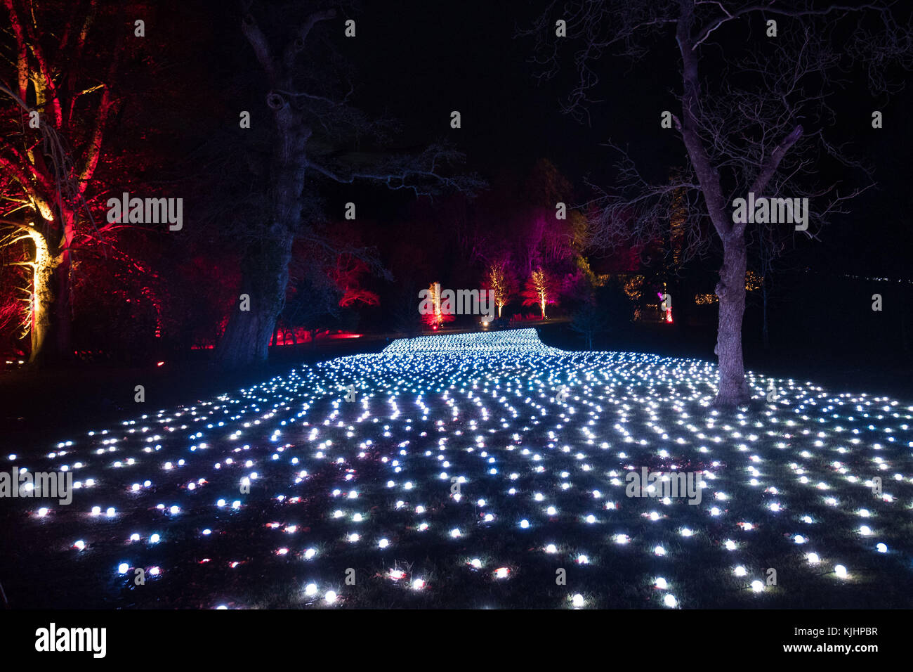 Christmas lights on display at Blenheim Palace in Woodstock