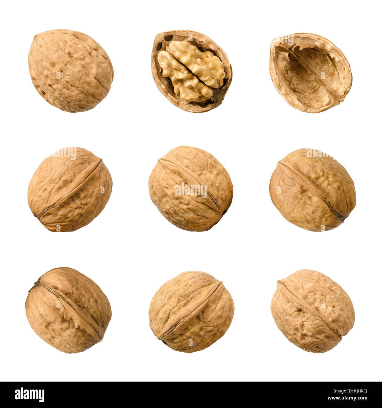 Walnuts, whole and opened, isolated on white background. Top views of the nuts and seeds of the