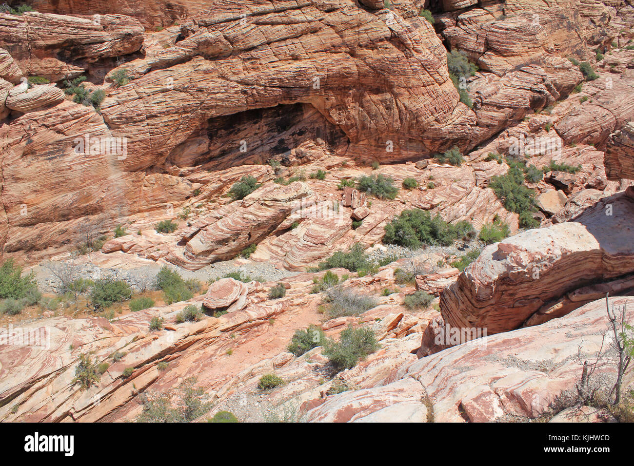 Red rock canyon nevada agave hi-res stock photography and images - Alamy