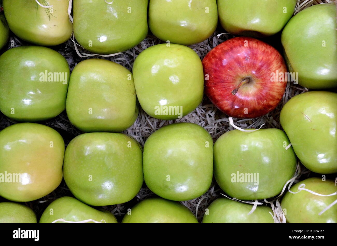 Red apple surrounded by green apples Stock Photo