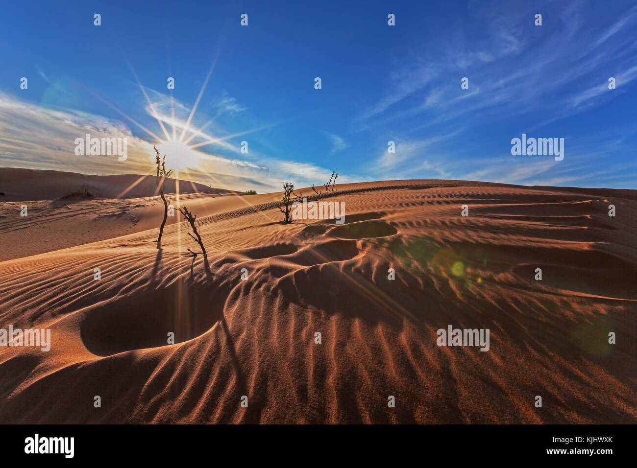 Footprints in the desert, Saudi Arabia Stock Photo