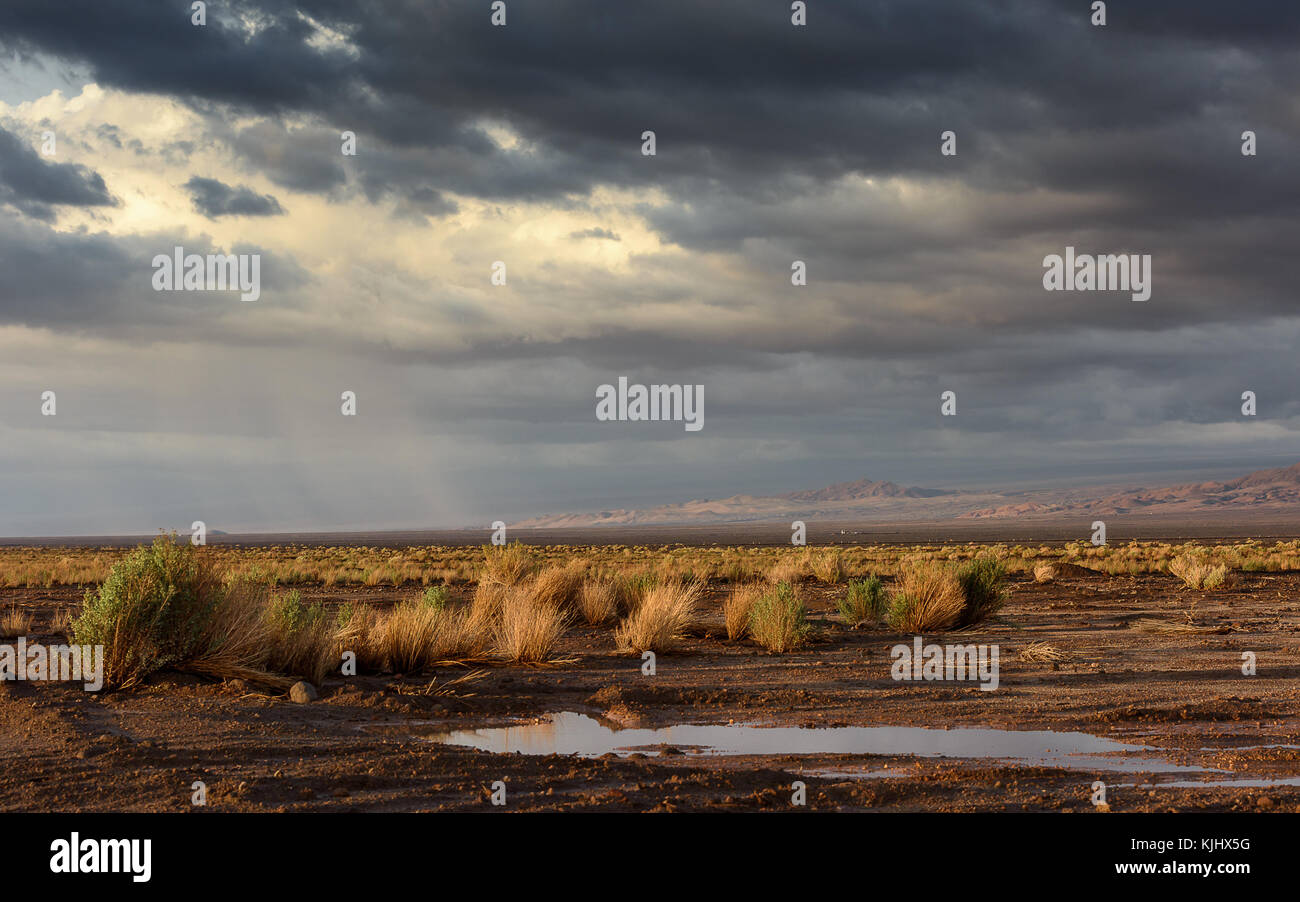 Rain over the Atacama desert, Chile Stock Photo