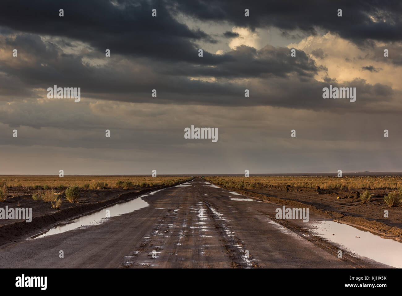 Road through the Atacama desert, Chile Stock Photo