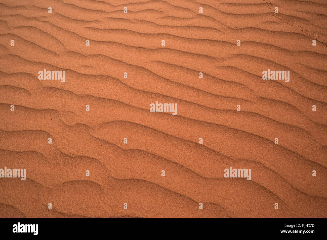 Close-up of sand in the desert, Western Australia, Australia Stock Photo