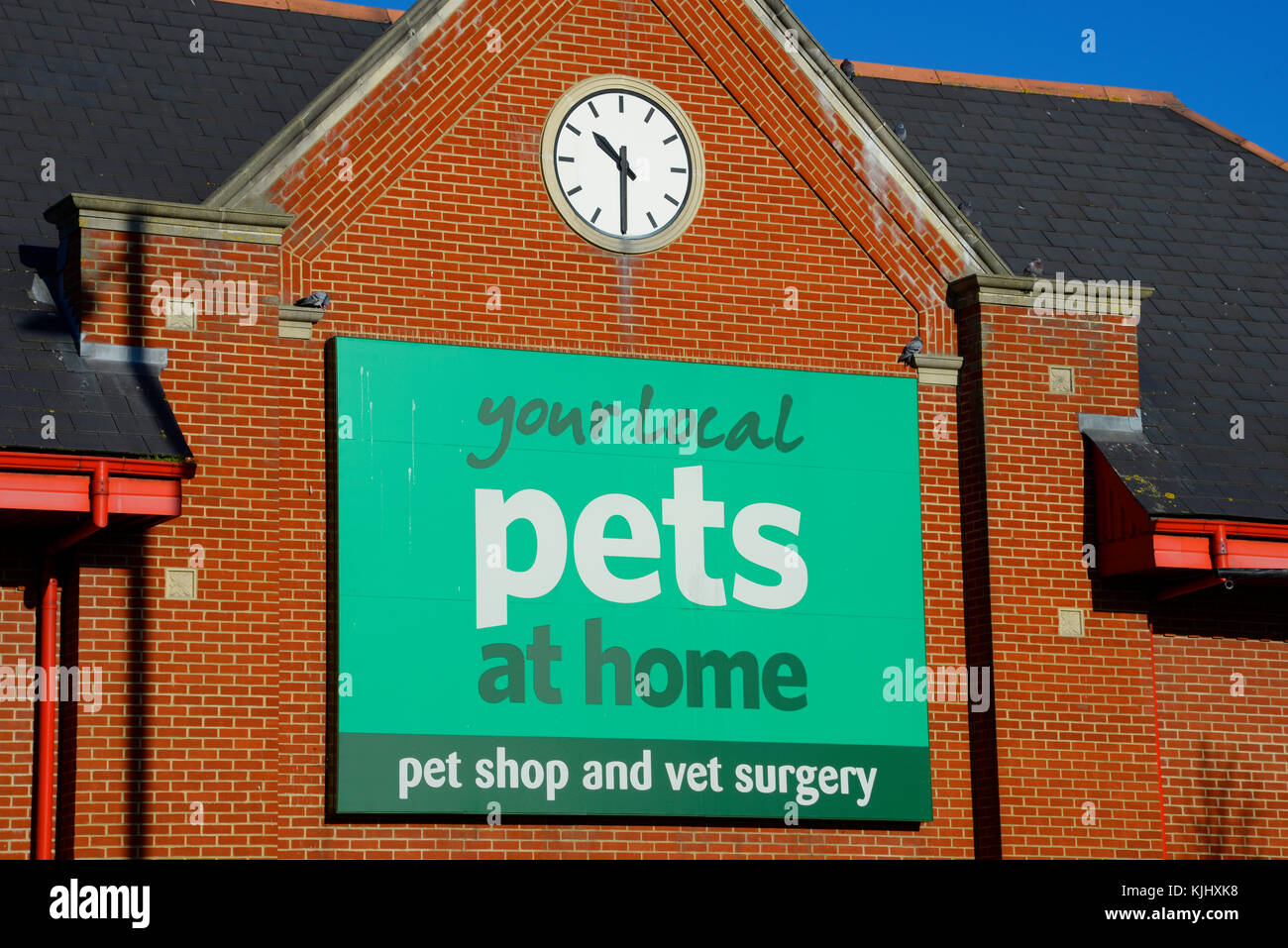 Pets at Home pet shop and vets sign, Southend on Sea, Essex. Pet store. Clock Stock Photo