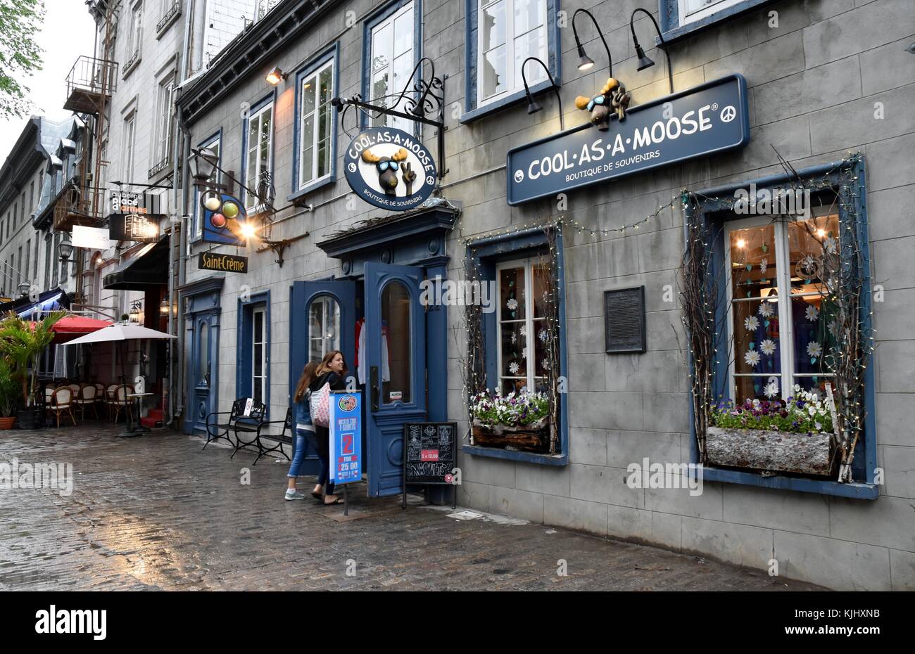 Cool as a Moose Boutique is the coolest little store Stock Photo Alamy