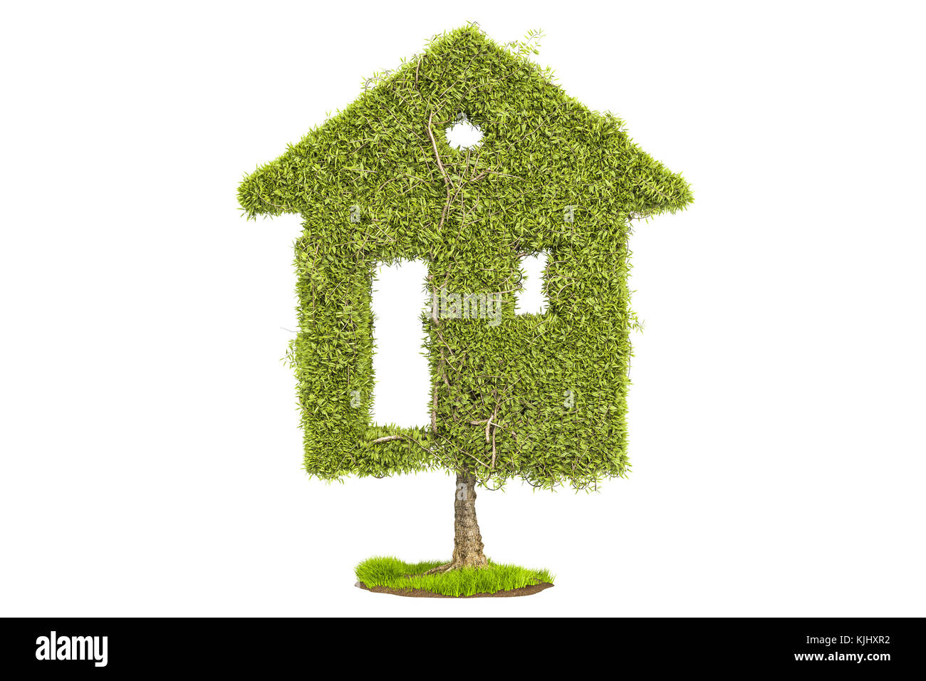 Tree in the shape of home. Ecological house concept, 3D rendering ...