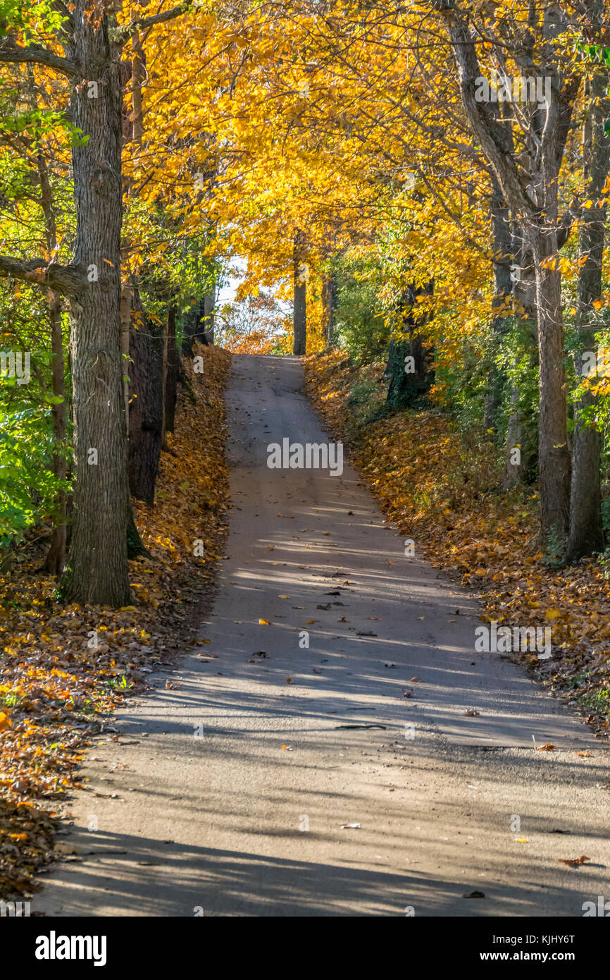 Colorful Autumn trees on a rural road in America Stock Photo - Alamy