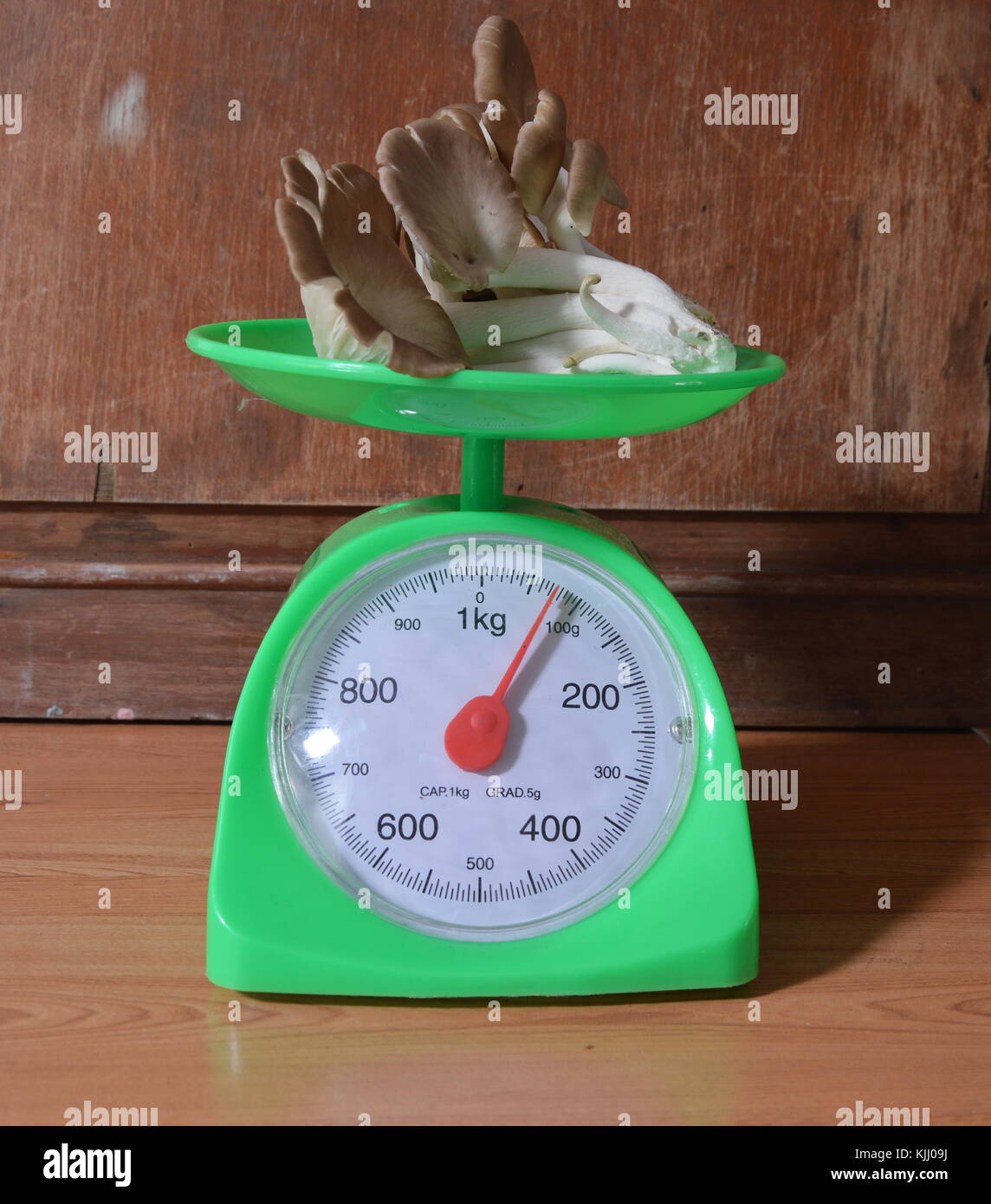 Indian mushroom on green weighing scale tray Stock Photo Alamy