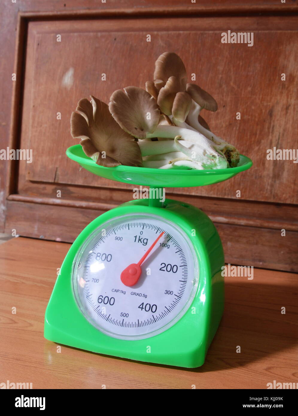 Indian mushroom on green weighing scale tray Stock Photo Alamy